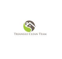 Triangle Clean Team image 1